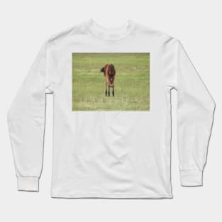 Wildlife gifts, wild horses, Eastern Sierra, California Long Sleeve T-Shirt